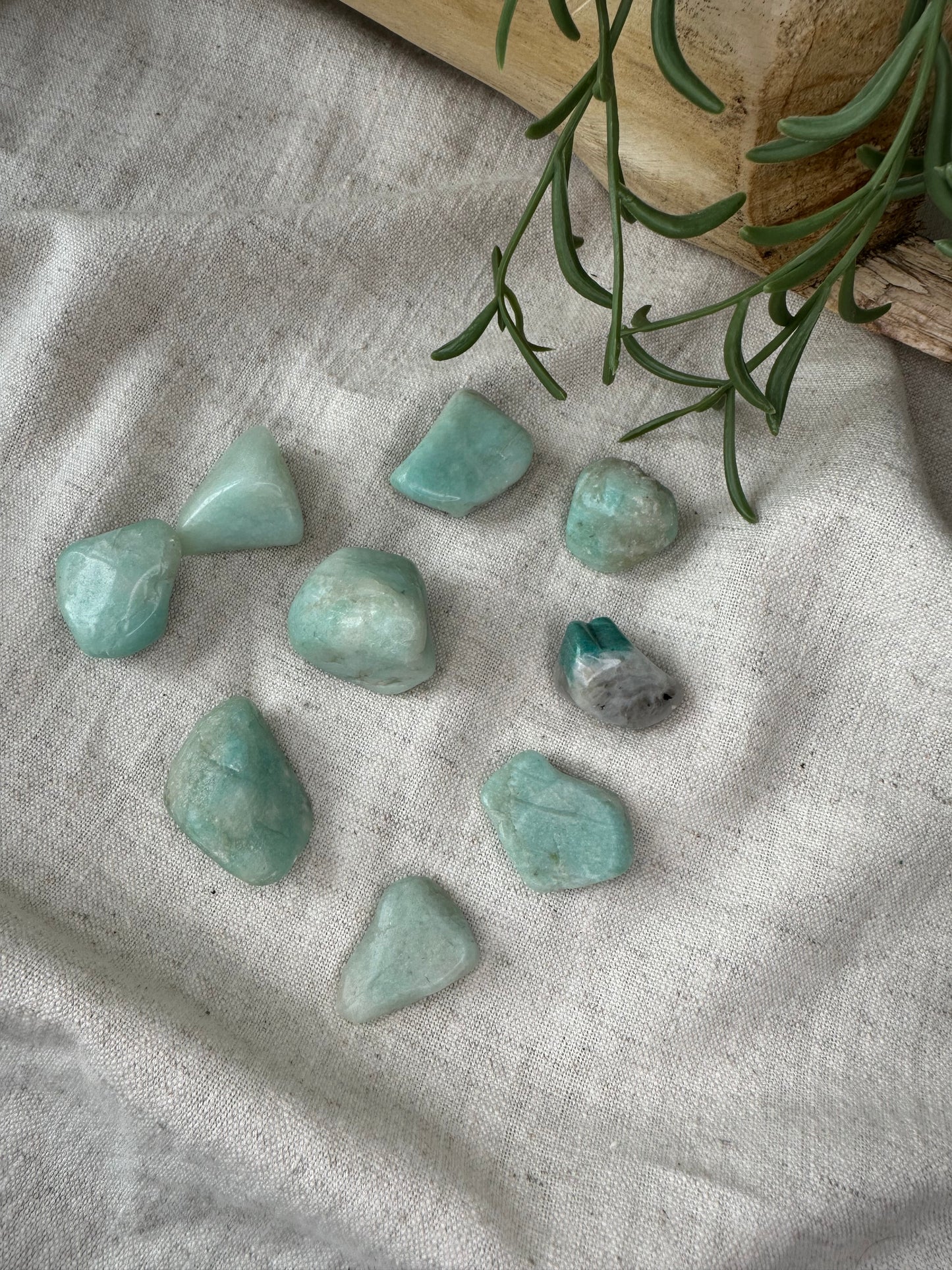 Amazonite - Tumblestone