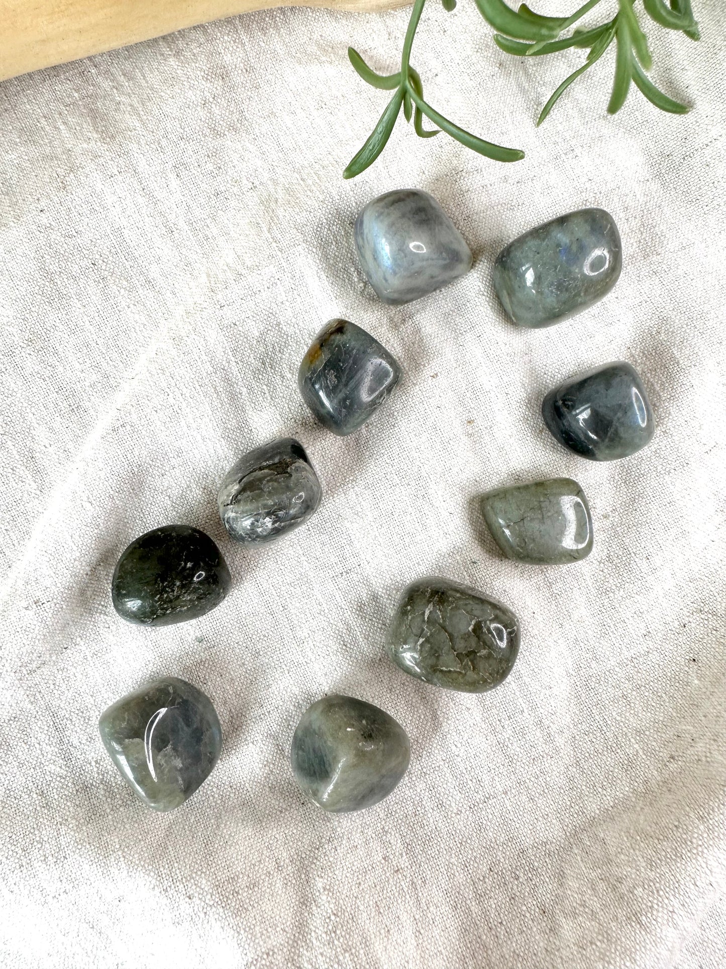 Labradorite - Tumblestone