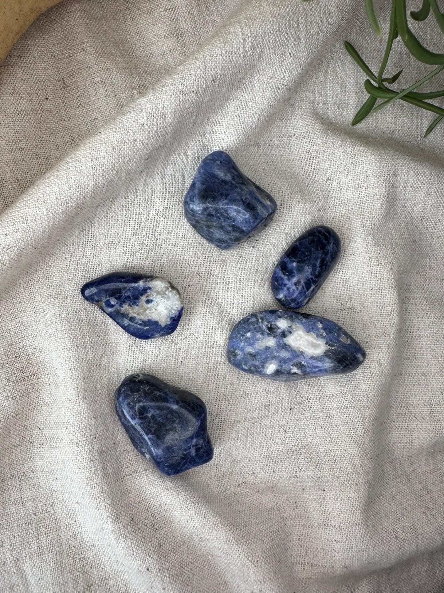 Sodalite - Tumblestone