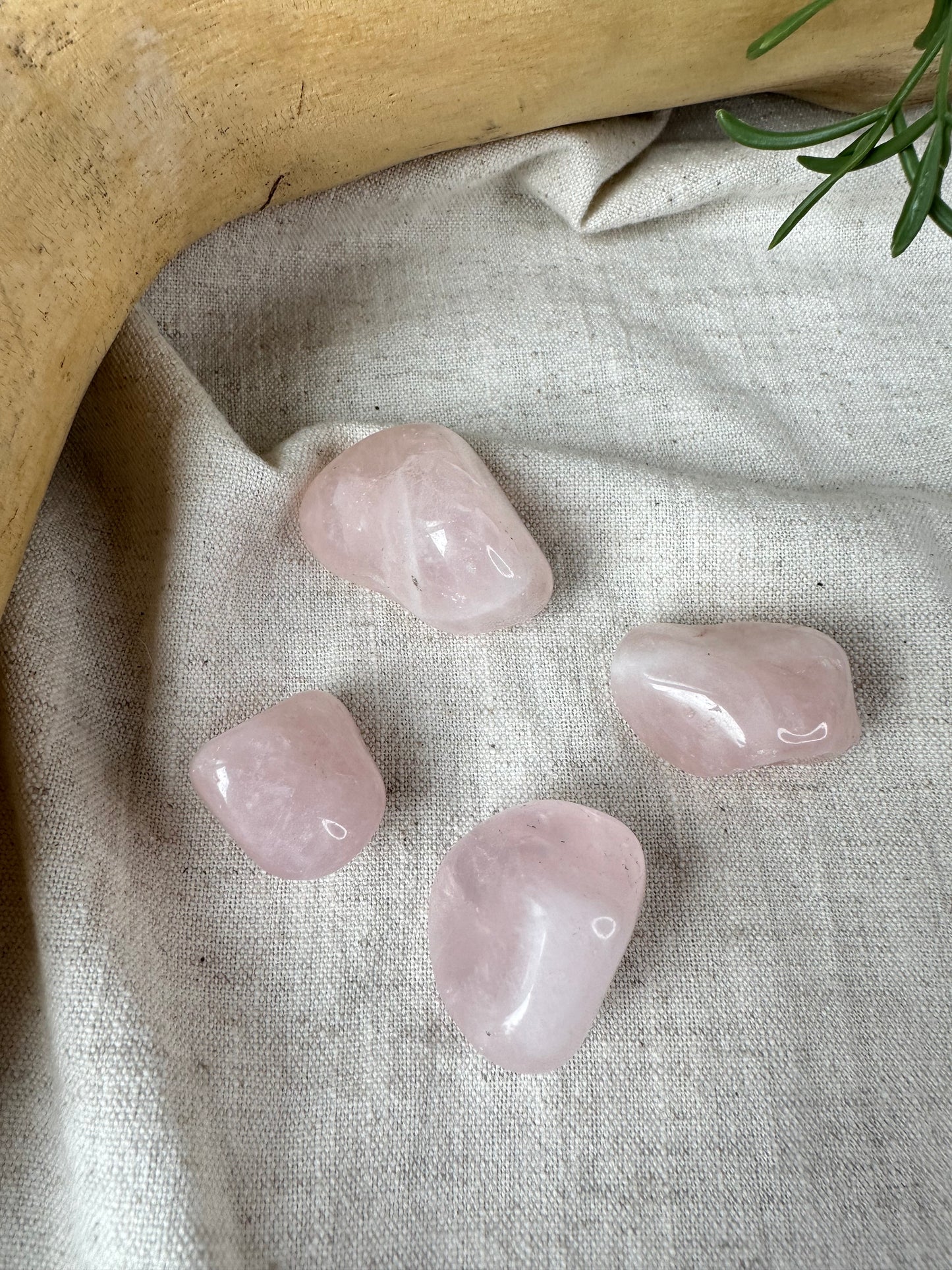 Rose Quartz - Tumblestone