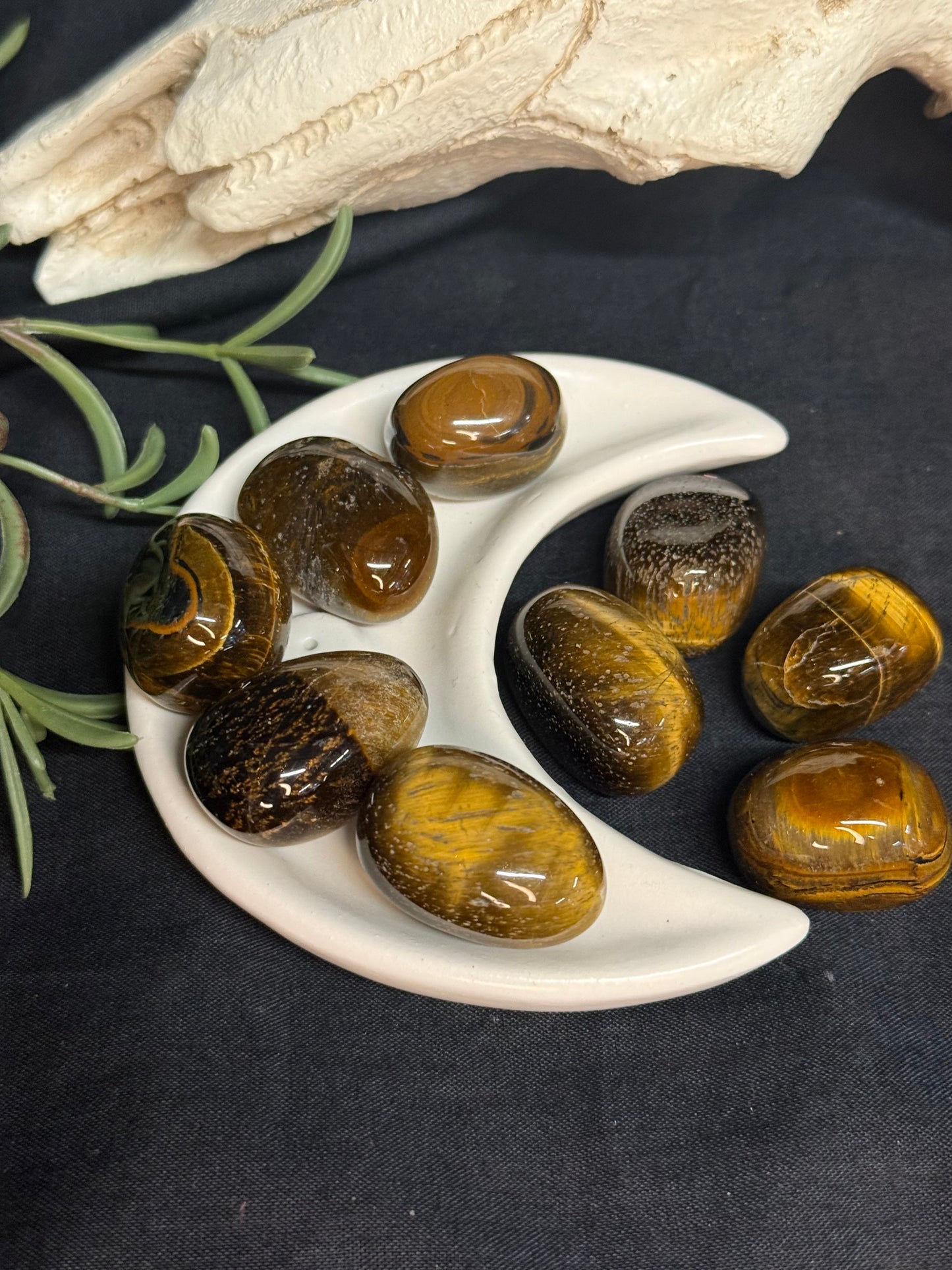 Gold Tigers Eye - Tumblestone