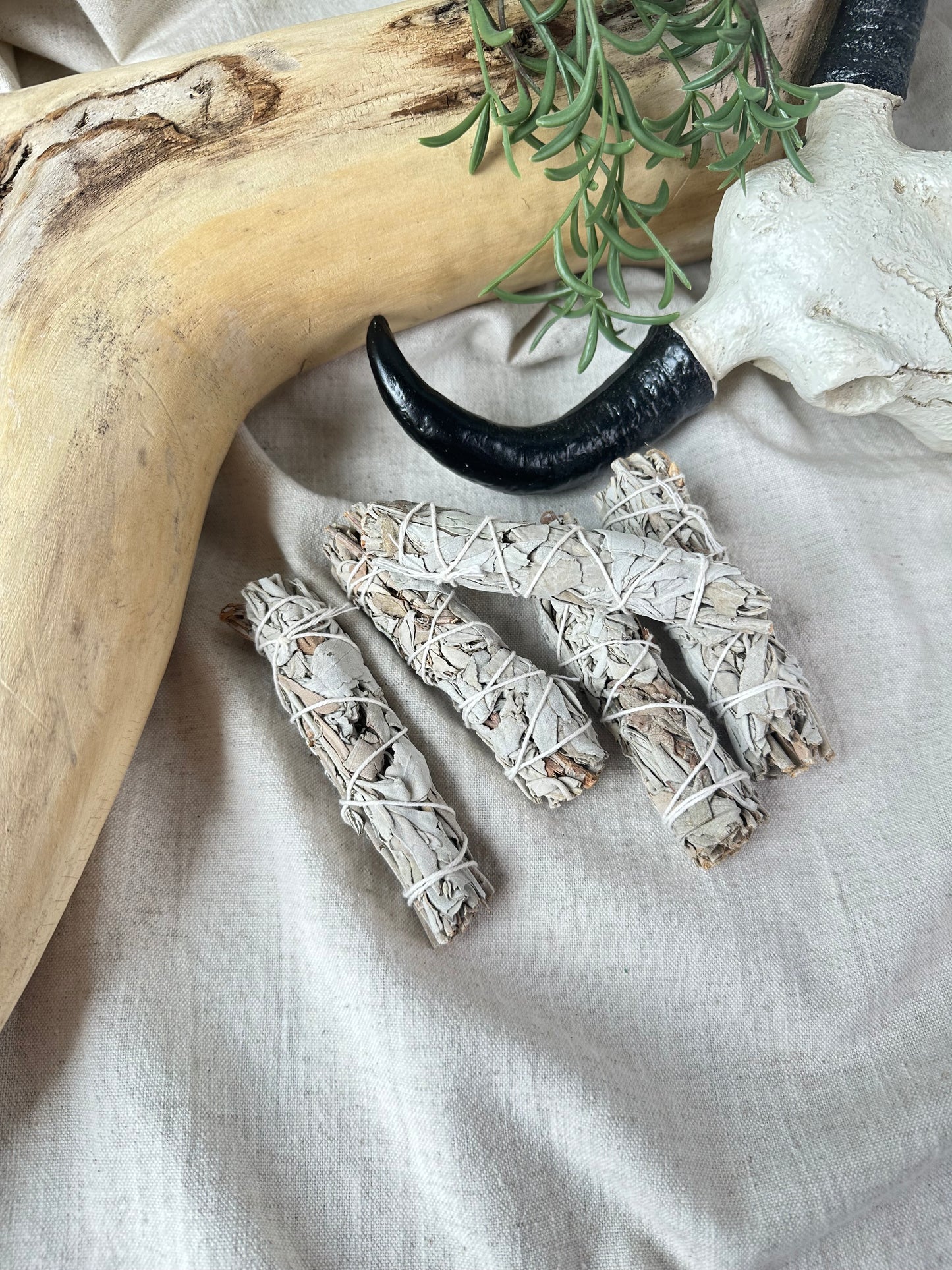 White Sage 4in Thin Smudge Sticks