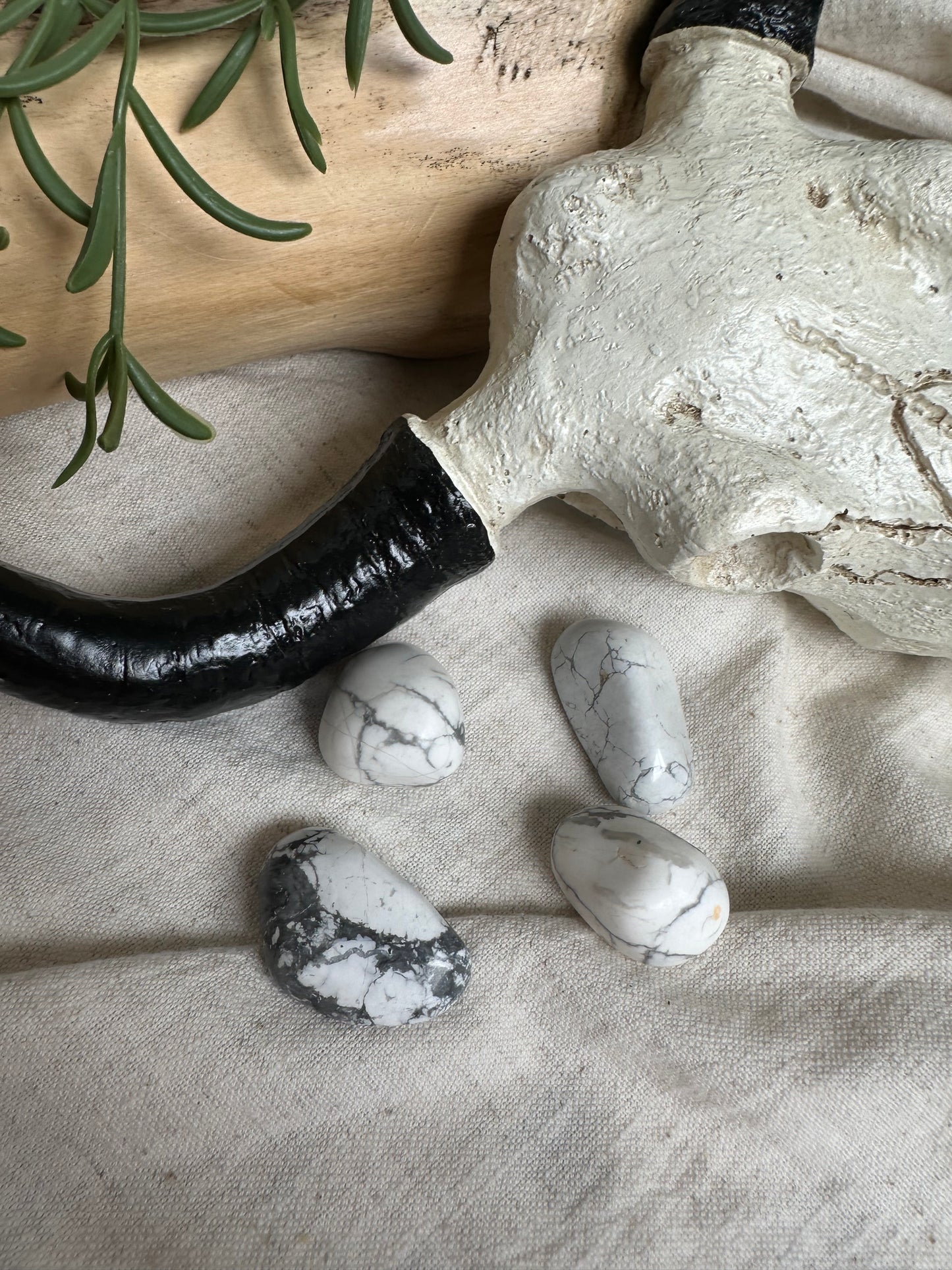 White Howlite - Tumblestone