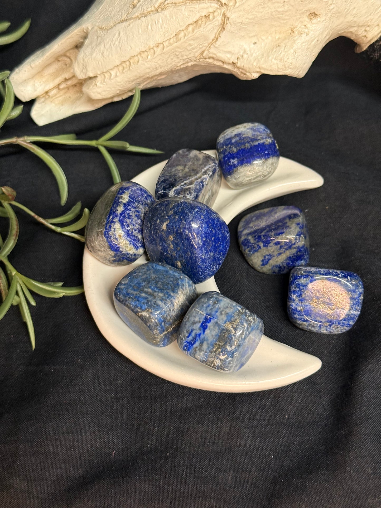 Lapis Lazuli - Tumblestone
