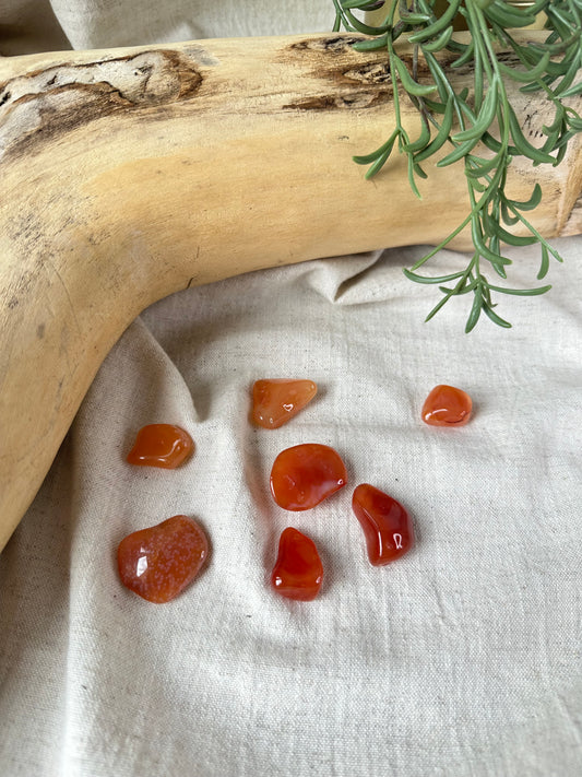 Carnelian - Tumblestone