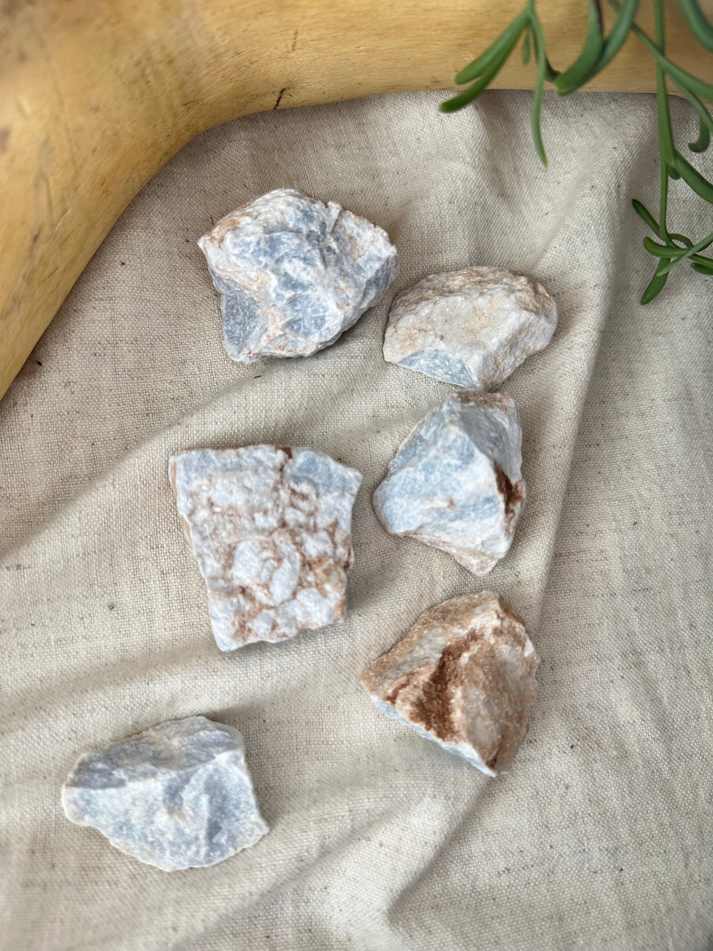 Angelite - Tumblestone