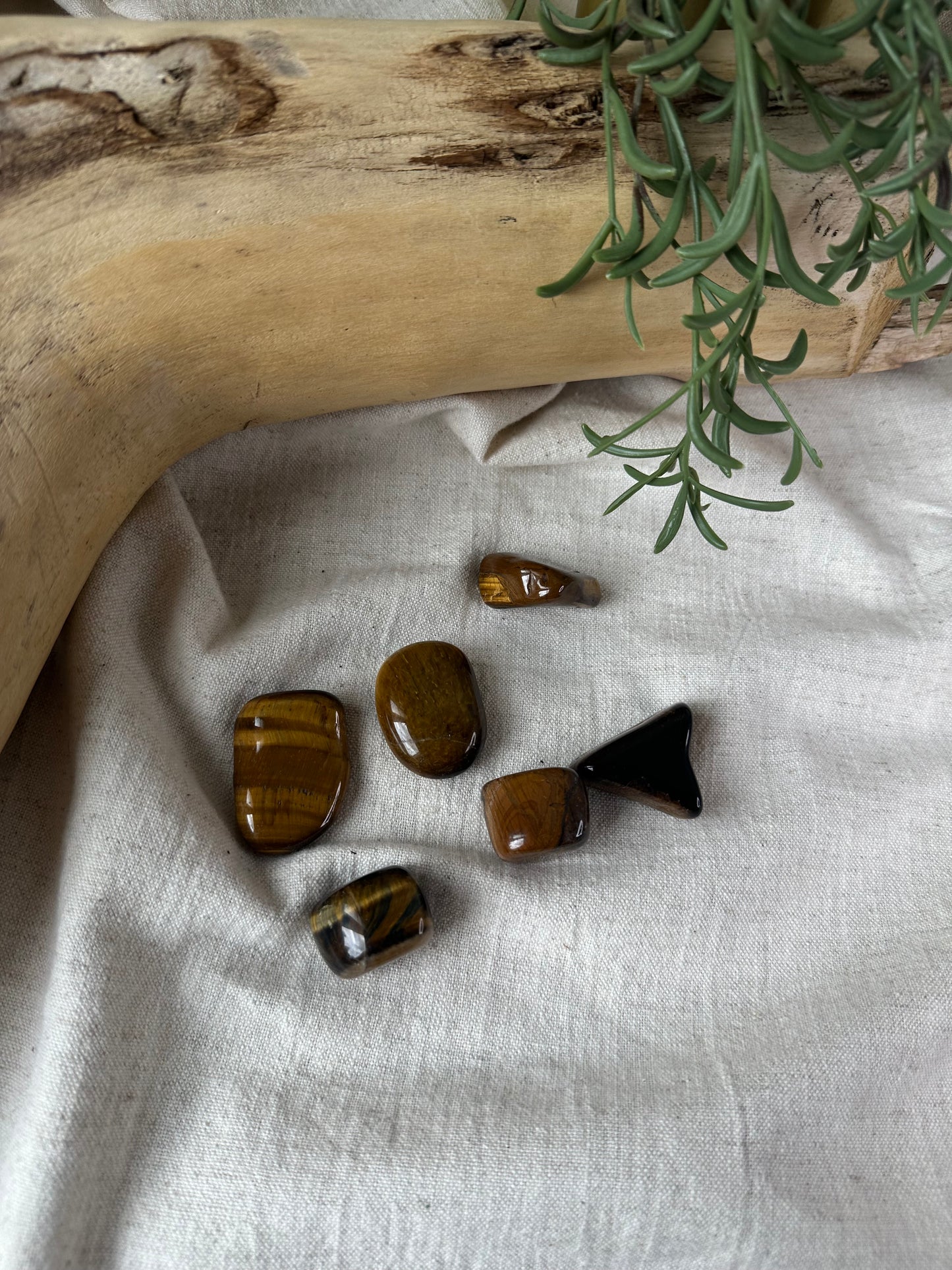 Gold Tigers Eye - Tumblestone