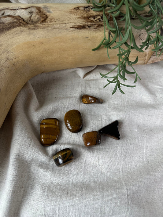 Gold Tigers Eye - Tumblestone