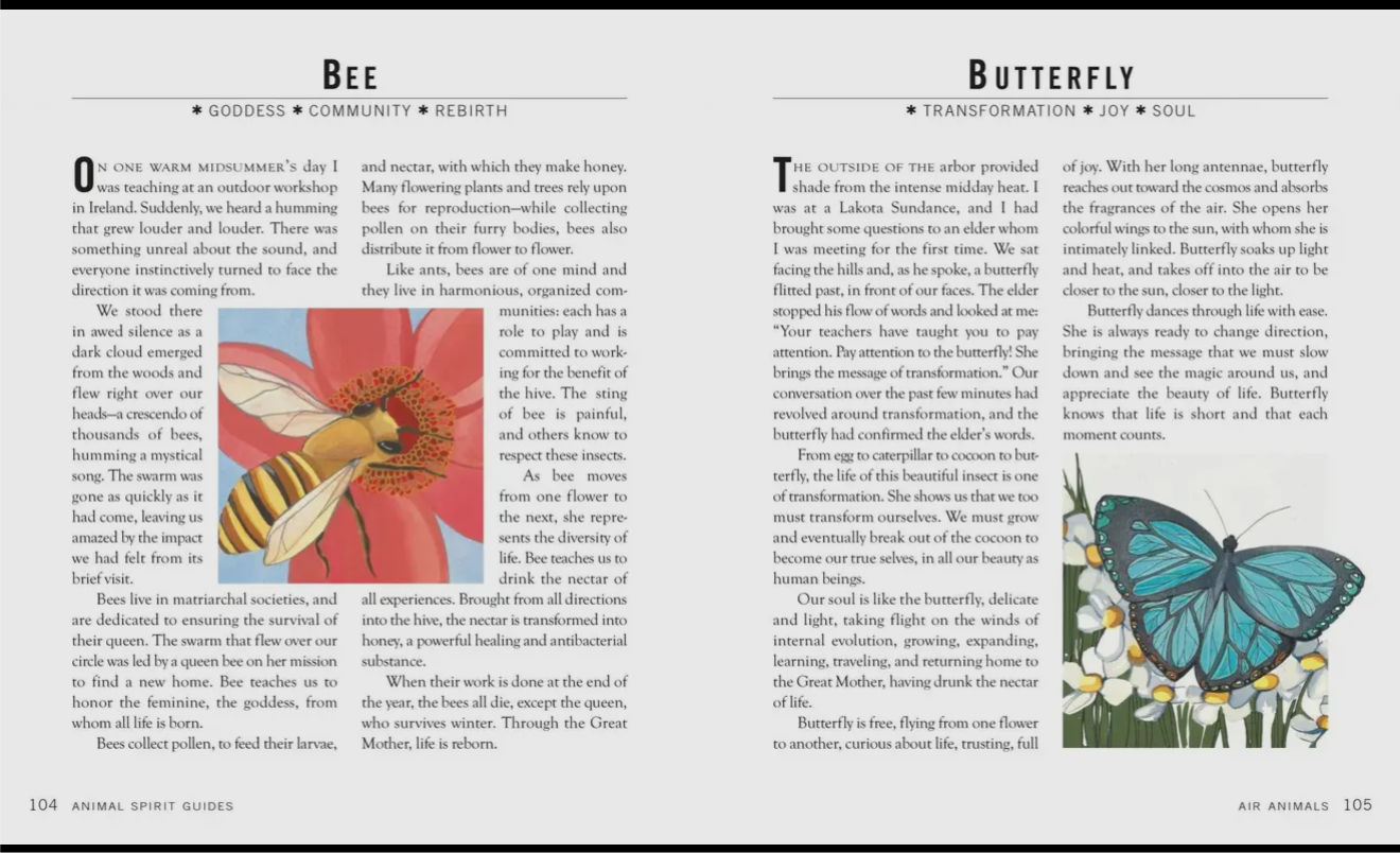 Spirit Animal Guides